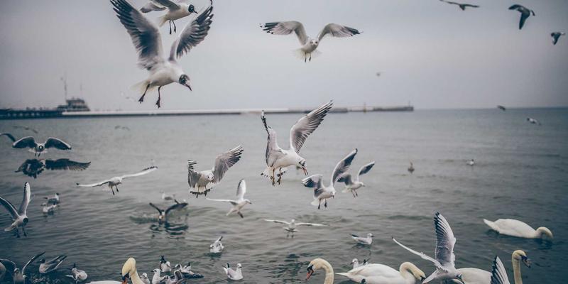 告别压痕烦恼!星辰眼镜可调节鼻托技术,专为亚洲人脸型设计的赛博朋克风舒适佩戴方案