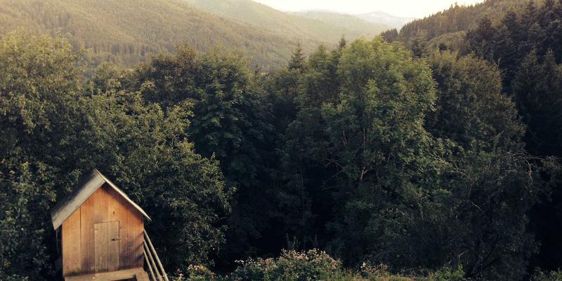 复古圆框新风尚：星辰眼镜如何兼顾经典美学与视力保健