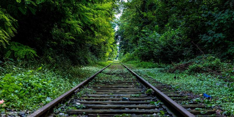 星辰眼镜48：专业验光与科学配镜，如何守护你的清晰视界？