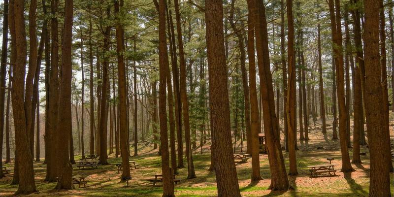 星辰眼镜70：赛博朋克美学与精准视觉的终极融合