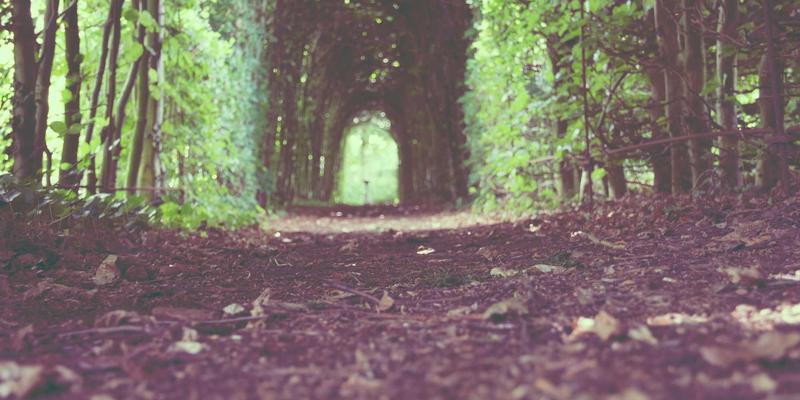 星辰眼镜线上配镜全攻略：如何确保验光数据准确，实现完美视力矫正与眼部护理