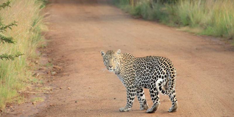 赛博霓虹下的清晰视界:星辰眼镜镜片寿命全解析与科学更换指南